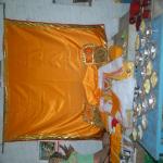 Vraj-Yatra-2014- (471)